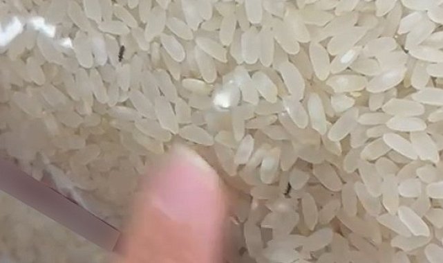 Elazığ'da paketli bir pirinç içerisinde böcekler görüntülendi