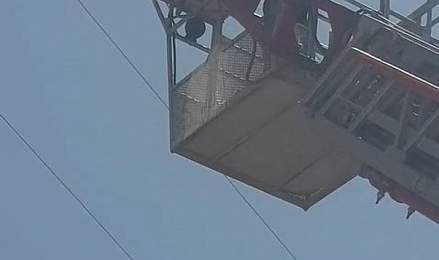 Elazığ'da yaralı leylek itfaiye tarafından kurtarıldı