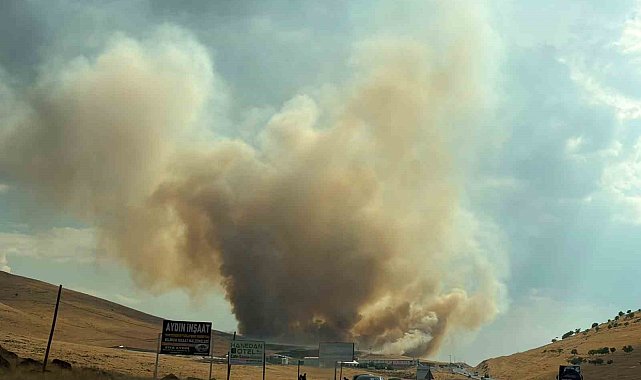 Elazığ'daki örtü yangınına müdahale sürüyor