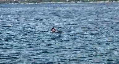 Elazığ'dan Malatya'ya yüzerek geçti