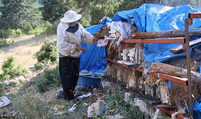Emekli imam, Toroslar'ın zirvesinde arılarla doğal hayatı seçti