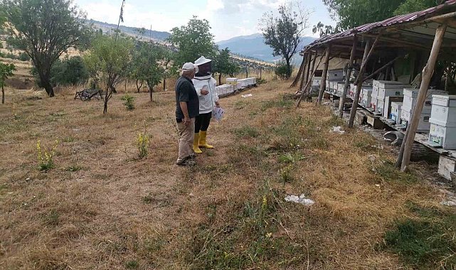 Emet'te arılı kovan tespit çalışması