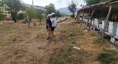 Emet'te arılı kovan tespit çalışması