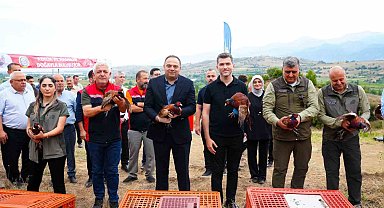Erbaa Belediyesi'nden keneyle mücadeleye halkalı sülün ve kekliklerle destek