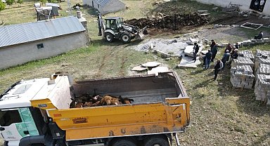 Erzincan'da ayı dehşeti: Ağıla ayı girdi, 144 küçükbaş hayvan telef oldu