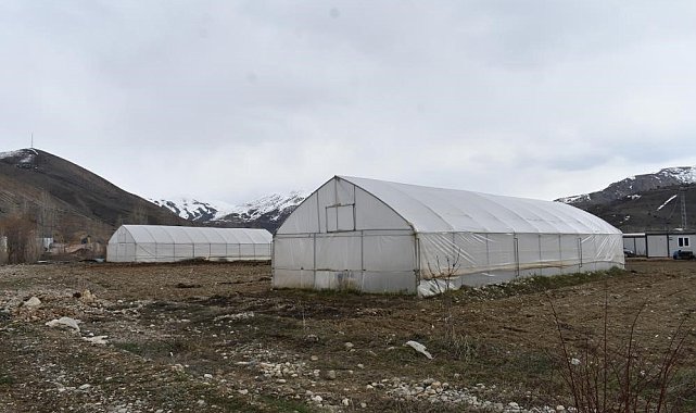 Erzincan'da sera örtüsü yenileme desteği başvuruları uzatıldı