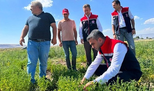 Erzurum'da tarımsal destekler meyvesini veriyor
