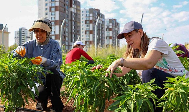Eşbaşkan Bucak üretici kadınlarla buluştu
