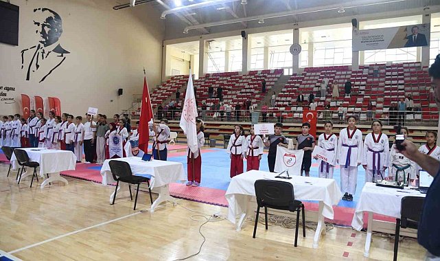 Eskişehir'de 2'inci İller Arası Taekwondo Poomsae Turnuvası heyecanı