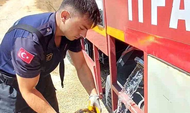 Eskişehir'de alevlerin arasında kalan kaplumbağayı itfaiye kurtardı