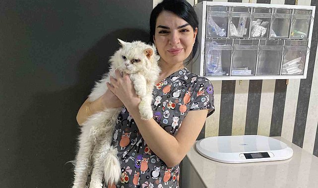 Evcil hayvanlarınızı evde tek bırakırken dikkat
