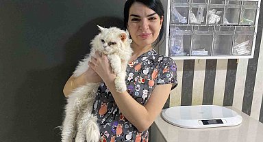 Evcil hayvanlarınızı evde tek bırakırken dikkat