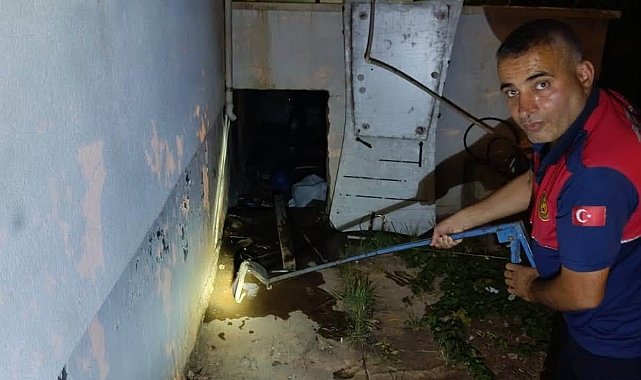 Evin deposuna giren yılan ekipleri harekete geçirdi