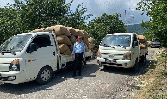 Fındık tüccarından üreticiye kritik uyarı: "Dalından toplamayın, yere dökülmesini bekleyin"