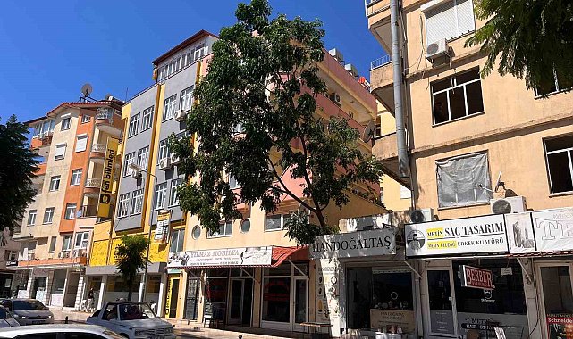 Fırtınanın devirdiği ağaç nedeniyle yol trafiğe kapatıldı