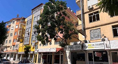 Fırtınanın devirdiği ağaç nedeniyle yol trafiğe kapatıldı
