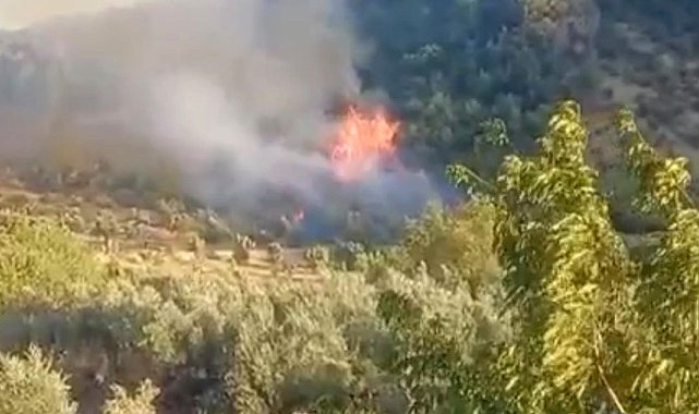 Gaziantep'te çıkan orman yangını havadan ve karadan müdahaleyle söndürüldü