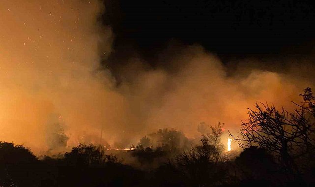 Gazipaşa'da makilik alanda yangın