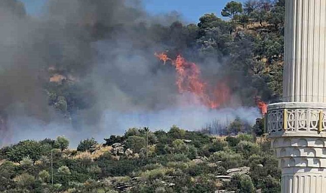Gebze'de orman yangını başladı