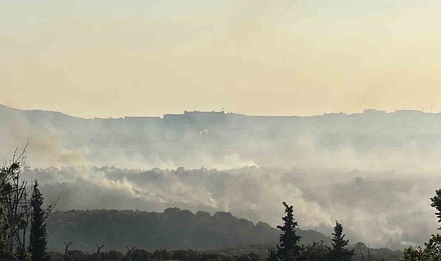 Gebze'deki orman yangını havadan görüntülendi