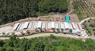 Gemlik'te barınak ziyaretçilere hep açık