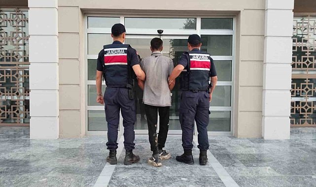 Germencik'te incir hırsızlığına suçüstü