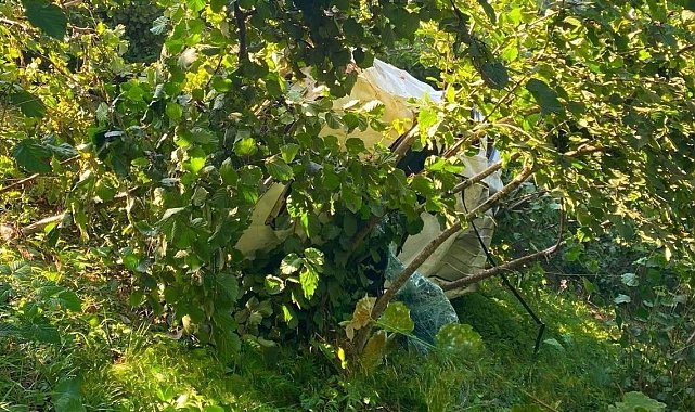Giresun'da kamyonet fındık bahçesine devrildi: 1 ölü