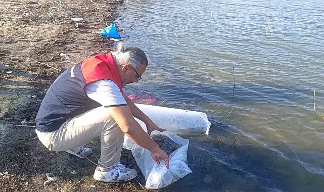 Göletlere 80 bin yavru balık bırakıldı