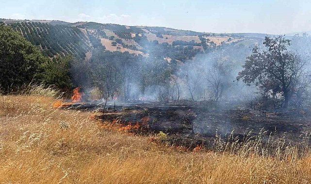 Gördes'te tarım arazisinden ormana sıçrayan yangın kontrol altında