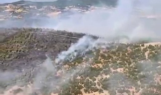 Gördes'teki orman yangını 4 saatte kontrol altına alındı