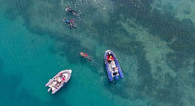 Gümbet'te deniz dibinden 310 kilogram atık çıktı