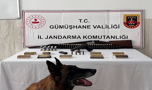 Gümüşhane'de ruhsatsız silah ve çok sayıda mühimmat ele geçirildi