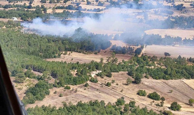 Harmancık'ta orman dışı alanda başlayan yangına ekipler müdahale ediyor