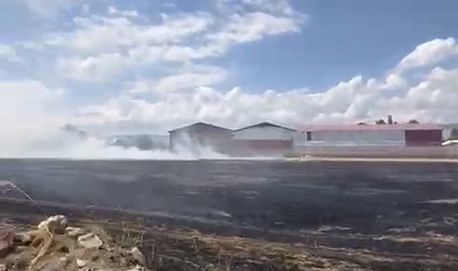 Hasat edilmiş buğday tarlasında çıkan yangın yerleşim yerlerine sıçramadan söndürüldü