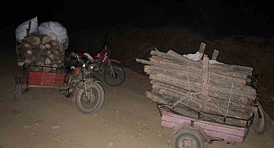 Hassa'da ormanda usulsüz kesim yapan şahıslar yakalandı