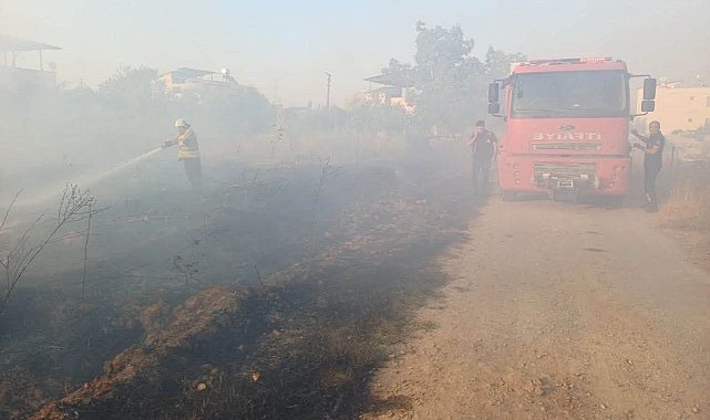 Hassa'da zeytinlik yangını yaşandı