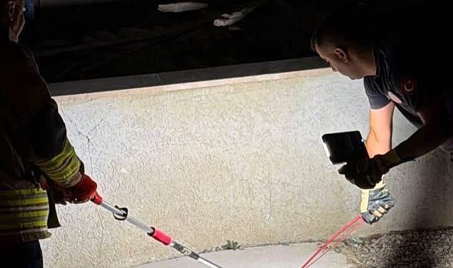 Hatay'da eve giren yılanları itfaiye yakaladı