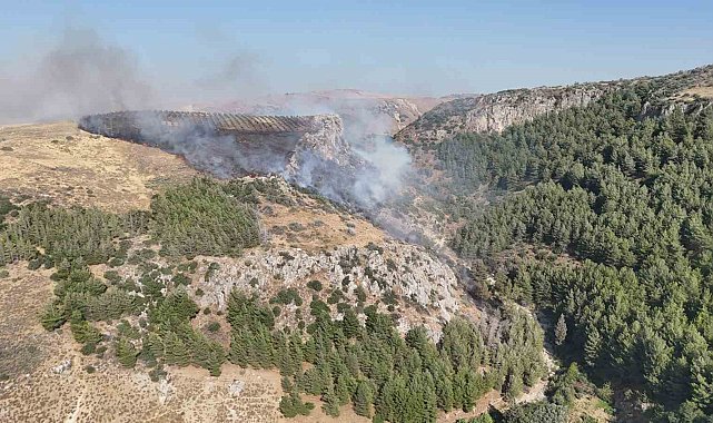Hatay'da orman yangını çıktı