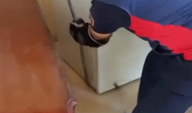 Hatay'da yerleşim yerlerine giren yılanlar yakalandı