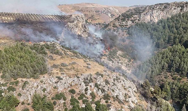 Hatay'daki orman yangını kontrol altına alındı