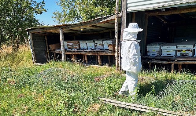 Hisarcık Karbasan köyünde arıcılık faaliyetleri denetlendi