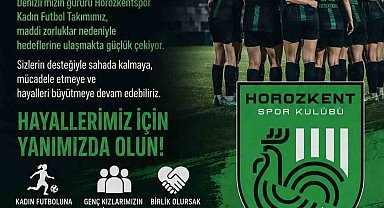 Horozkent finansal sıkıntılar yüzünden lige katılamayabilir