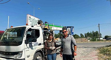 Iğdır'da doğada halsiz bulunan kerkenez koruma altına alındı