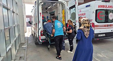 İncir toplarken ağaçtan düşen kişi yaralandı