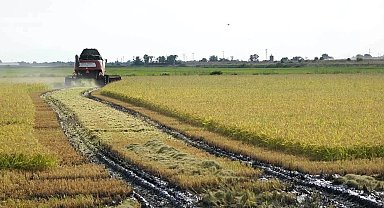 İpsala'da 2026 çeltik sezonu dualarla açıldı