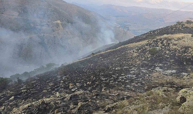 İspir'de orman yangını: Özel donanımlı arazöz ilk sınavını başarıyla verdi