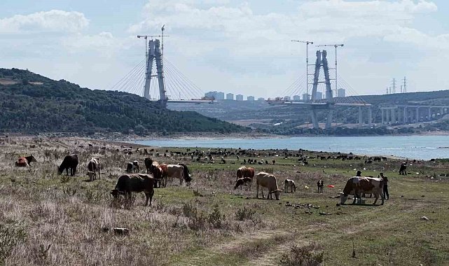İstanbul Barajlarında kuraklık tehlikesi: Doluluk oranları yüzde 48 seviyesine geriledi