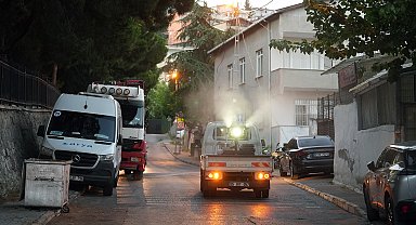 İstanbul Maltepe'de ilaçlama çalışmaları sürüyor