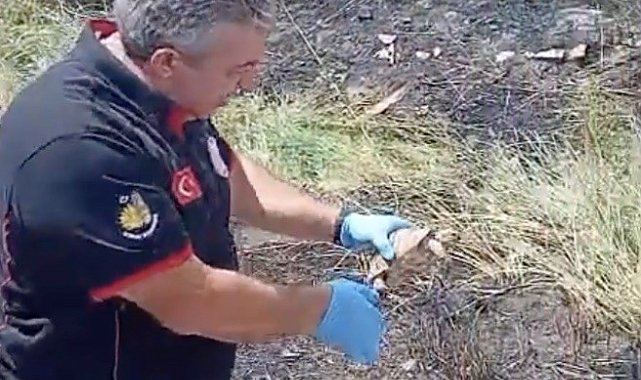 İtfaiye ekipleri yangından kurtardıkları kaplumbağayı suyla serinletti
