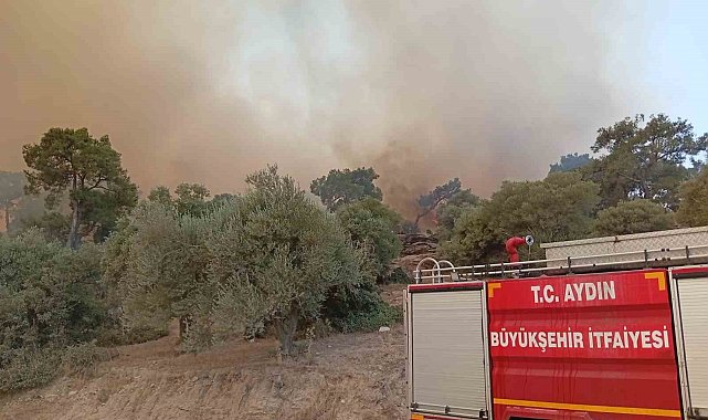 İtfaiye erleri alevlerin arasında kalan kaplumbağayı böyle kurtardı